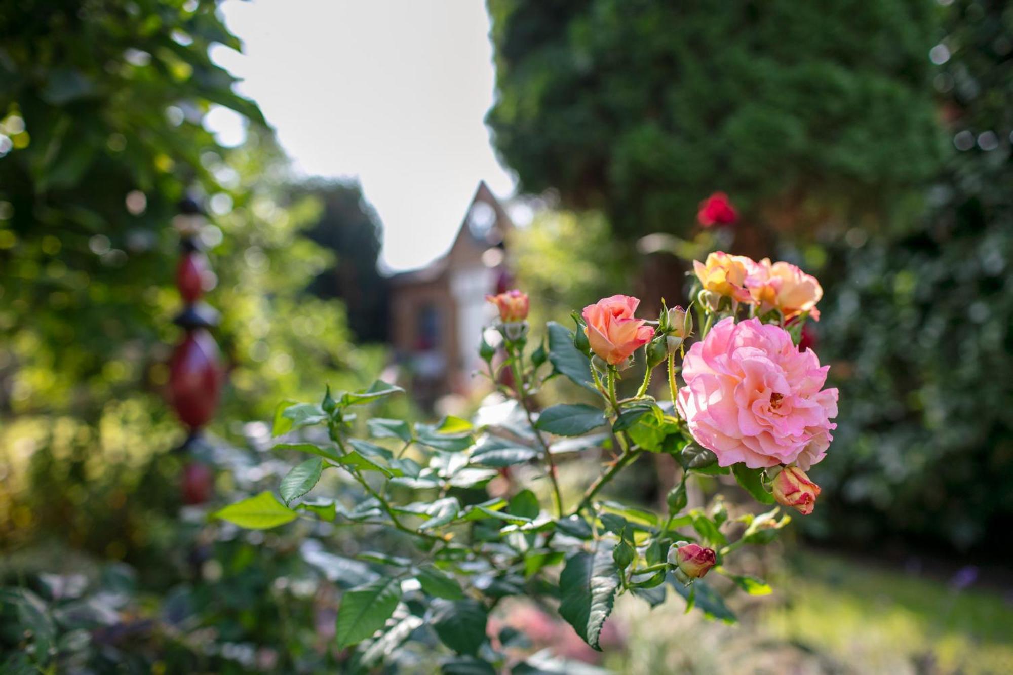 Ferienhaus Jasmin นอยรุพพิน ภายนอก รูปภาพ